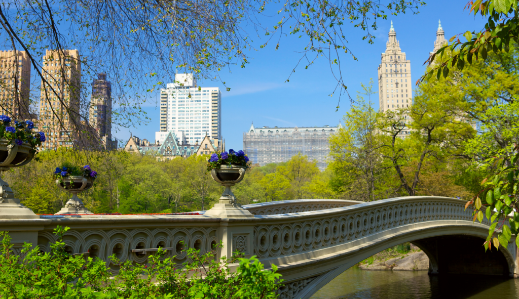 Central Park cosas para hacer gratis en Nueva York