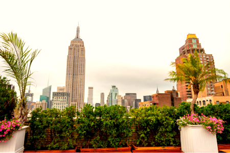 Rooftop's con las mejores vistas de Nueva York
